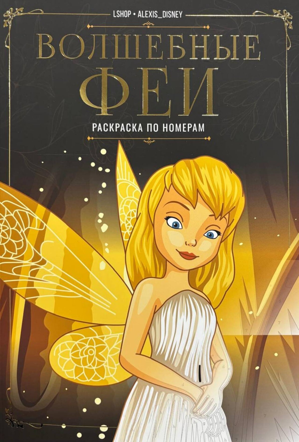 Magical Fairies. Color by Numbers